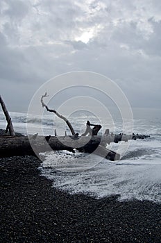 Driftwood log points down the beach as foaming waves engulf it