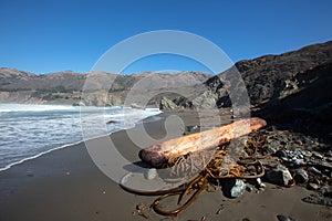 Driftwood log on Ragged Point beach at Big Sur on the Cental Coast of California United States photo