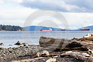 Driftwood and loggs on the beach