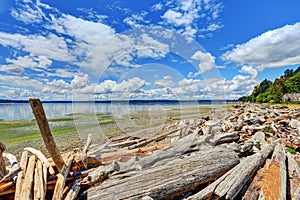 Driftwood logs litter the shoreline in Normandy Park, Washington