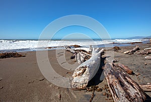 Driftwood logs on Moonstone Beach in Cambria on the Central Coast of California USA