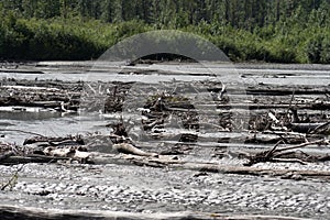 Driftwood, logs, sand and mud in the Lowe River in Valdez Alaska photo