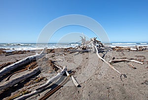 Driftwood on Moonstone Beach in Cambria on the Central Coast of California USA