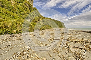 Driftwood on Okarito Beach