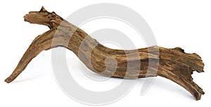 Driftwood over white background