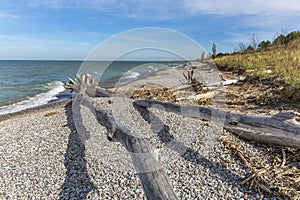 Driftwood and pebbles on a Lake Huron beach