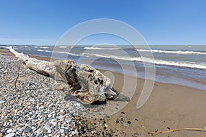 Driftwood and Pebbles on a Lake Huron Beach - Ontario, Canada