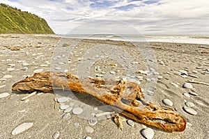 Driftwood and pebbles on Okarito Beach