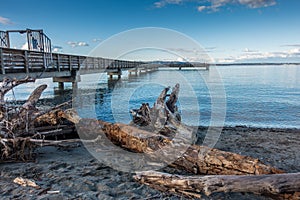 Driftwood And Pier