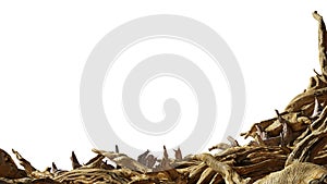 Driftwood, pile of aged branches isolated on white background