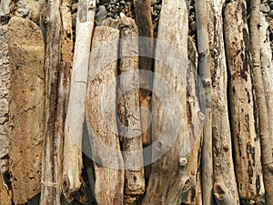 Driftwood pile stack ready for campfire at beach