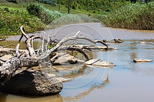 Driftwood and rocks on the Karkloof river