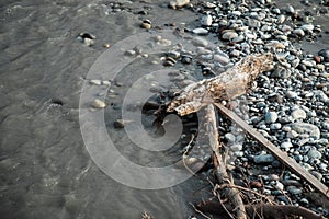 Driftwood and Rocks on the Shore . The problem of river shallowing concept