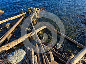 Driftwood and rocks at the shore of Sidney BC photo