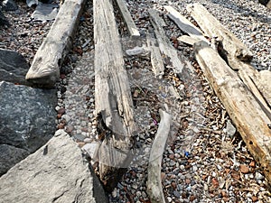 Driftwood and rubbish on a stoney beach, Manhattan, New York.
