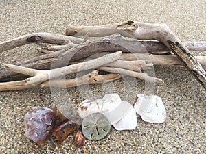 Driftwood, Sand Dollar, Oyster Shells and Natural Crystal Rocks