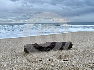 Driftwood sandy beach