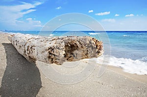 Driftwood seating on white sand beach