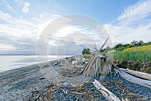 Driftwood and shelter on beach by the sea in Discover Park of Seattle, USA