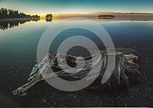 Driftwood on the shore of calm lake