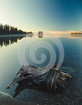 Driftwood on the shore of calm lake