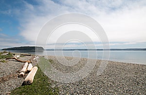 Driftwood on the shore of Shine Tidelands State Park on Bywater Bay near Port Ludlow in the Puget Sound in Washington State