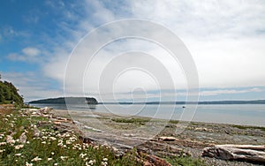 Driftwood on the shore of Shine Tidelands State Park on Bywater Bay near Port Ludlow in the Puget Sound in Washington State