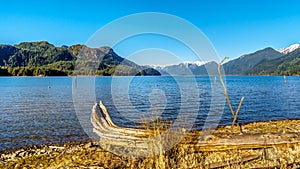 Driftwood on the shores of Pitt Lake with the Snow Capped Peaks of the Golden Ears Mountains