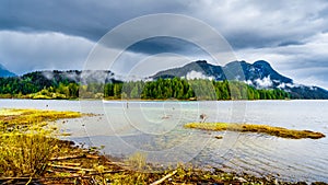 Driftwood on the shores of Pitt Lake under a dark cloudy sky with rain clouds hanging around the Mountains