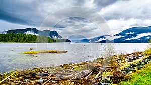 Driftwood on the shores of Pitt Lake under a dark cloudy sky with rain clouds hanging around the Mountains