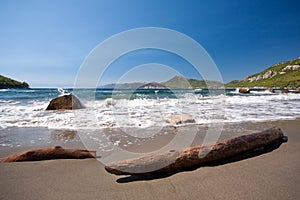 Driftwood and stone on sandy beach