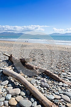 Driftwood on stony beach at Newborough photo