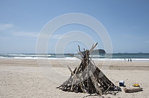 Driftwood structure on beach.