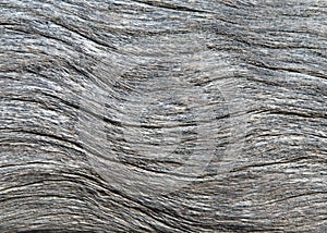 Driftwood texture background