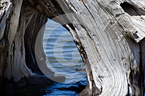 Driftwood Tunnel on the Water