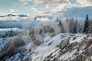 Driftwood Valley - Winter Day