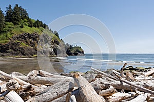Driftwood at Waikiki Beach in Cape Disappointment State Park