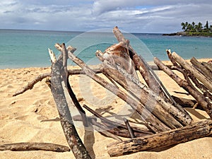 Driftwood at Waimea Bay