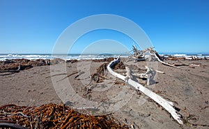 Driftwood washed ashore on Moonstone Beach in Cambria on the Central Coast of California USA