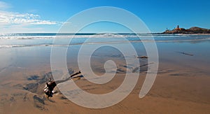 Driftwood in the water at Cerritos Beach surf spot in Baja California in Mexico