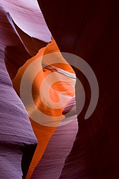 Driftwood wedged between narrow sandstone walls, Lower Antelope Canyon