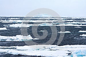 Drijfijs Antarctica, Drift ice Antarctica