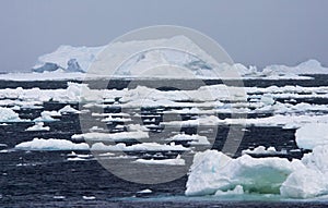 Drijfijs Antarctica, Drift ice Antarctica