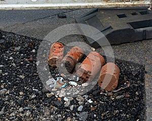 Bohrkern eines Kernlochs