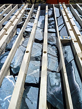 Drill core trays from gold deposit