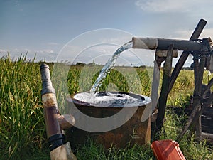 drilled wells to irrigate rice fields in rice fields during the drought season