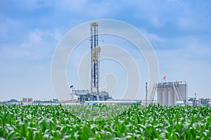 Drilling Rig in a cornfield In South Texas Eagle Ford Shale