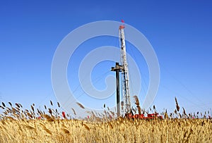 Drilling tower and reed