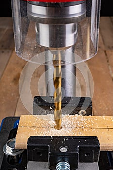 Drilling in wood with professional tools. Work on a bench drill