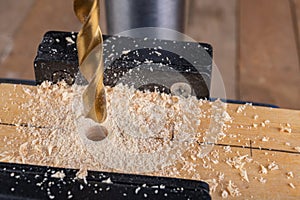 Drilling in wood with professional tools. Work on a bench drill